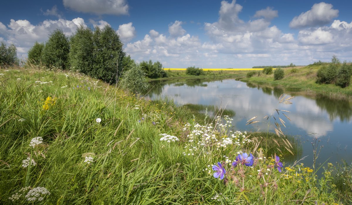 Василисино Наро-Фоминский район