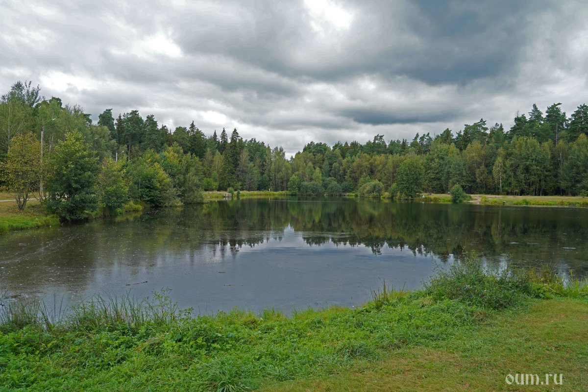 Ретрит Подмосковье ноябрь