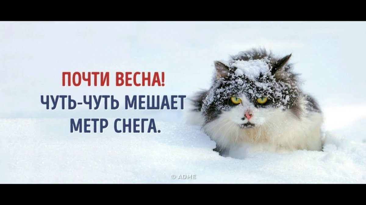 Снег радость