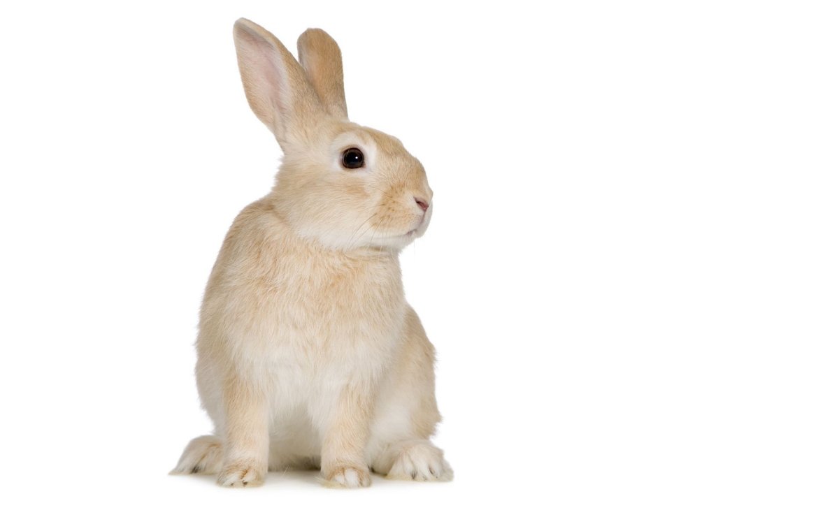 Милые рисунки