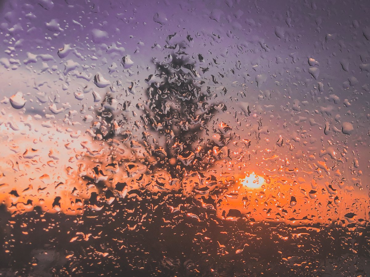 Дождь и солнце