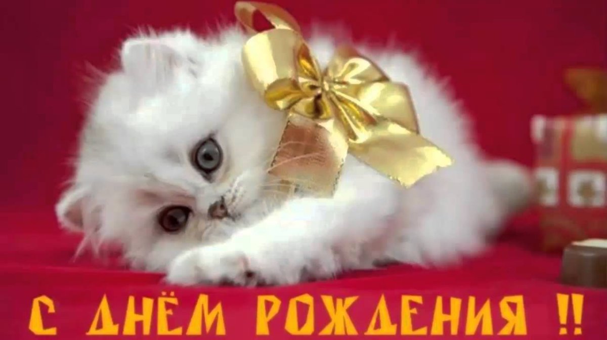 Мам ну пожалуйста