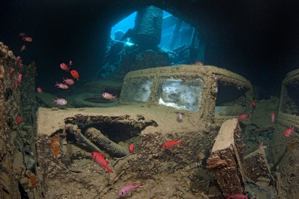 Корабль SS Thistlegorm, красное море