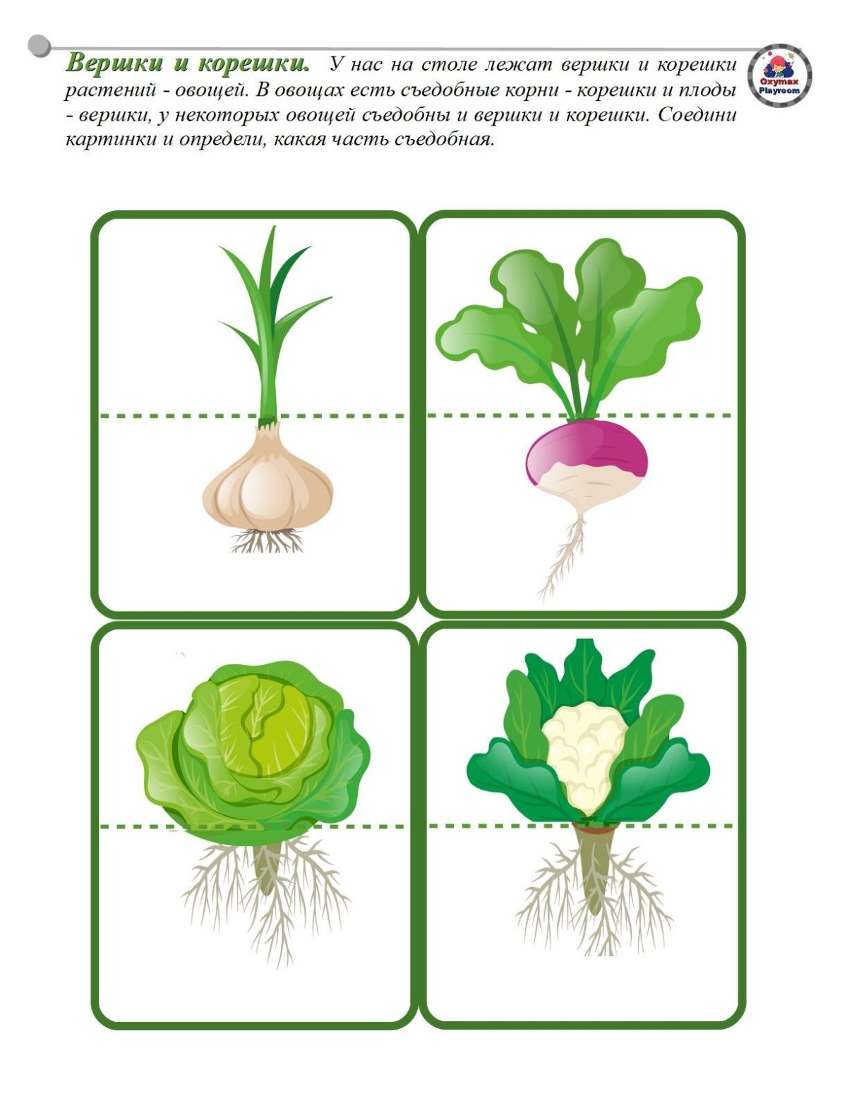 Игра вершки и корешки в картинках