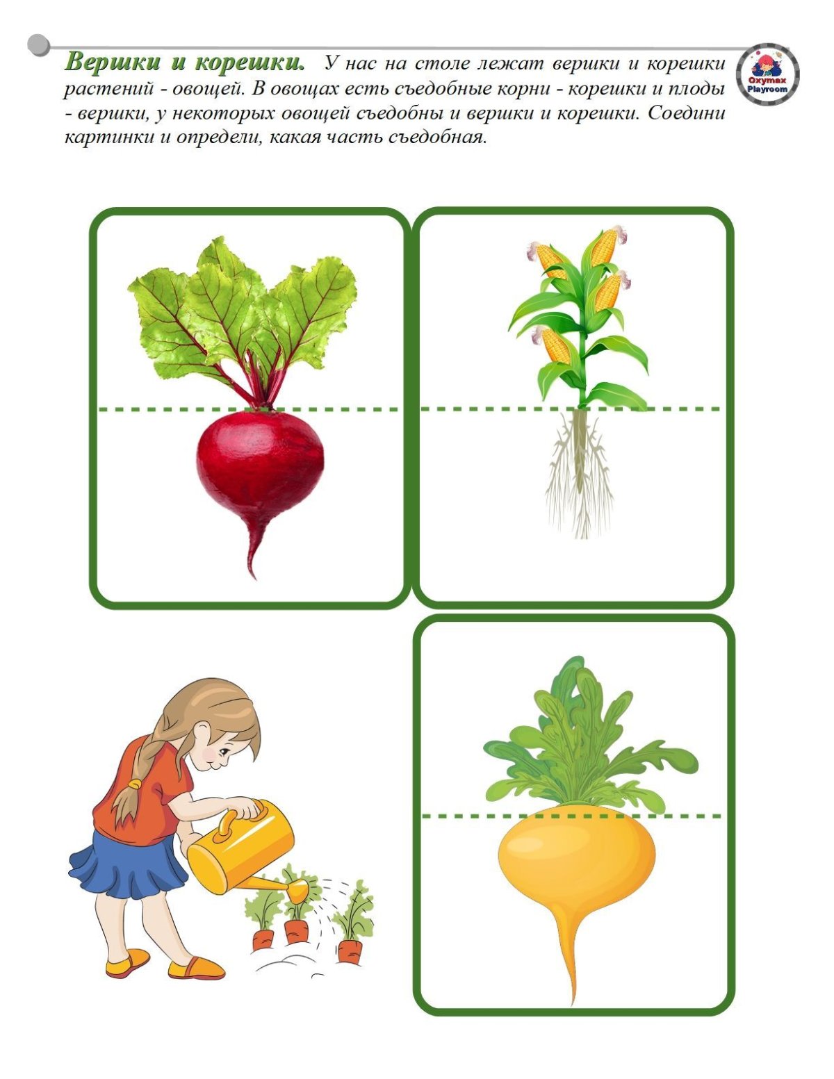 Иконки одежды для инстаграма