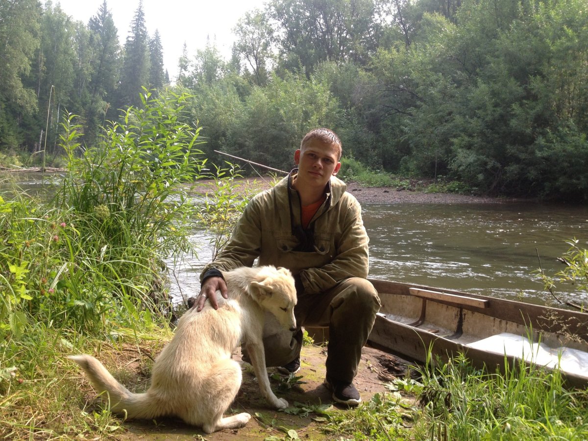 Д/И вершки и корешки