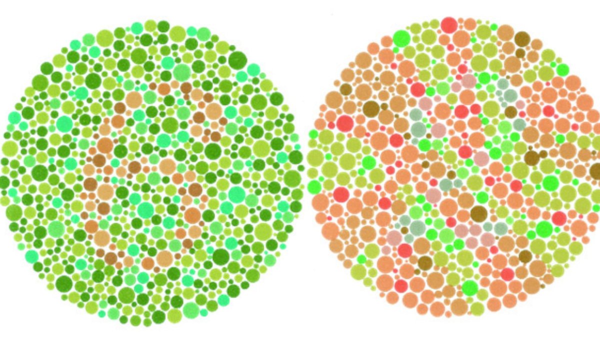 Атлас цветов Рабкина