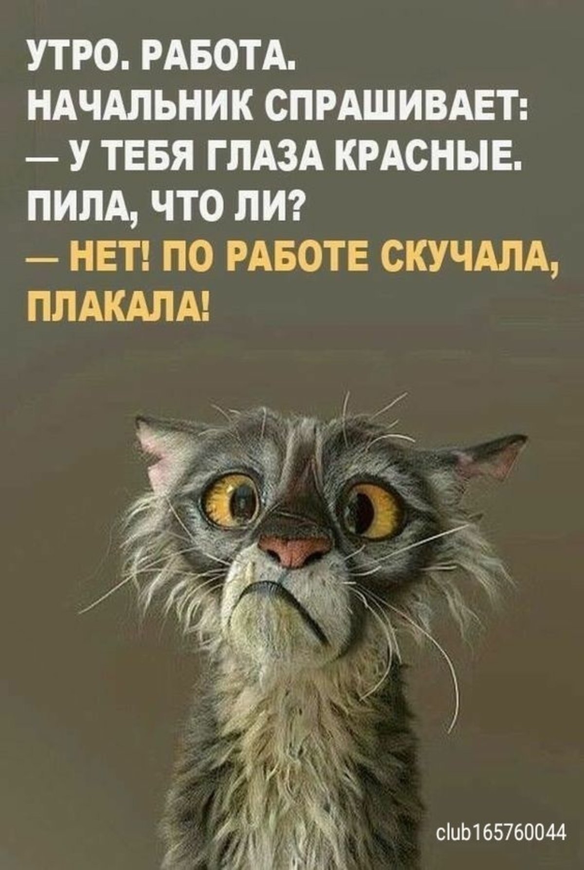 С добрым утром прикол