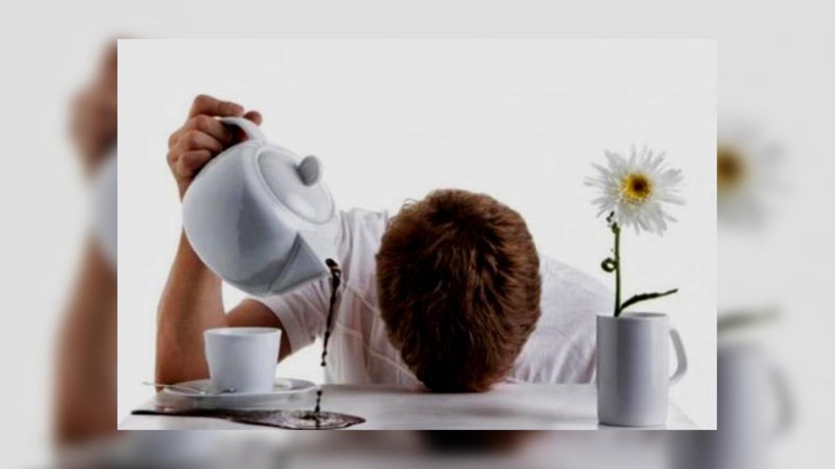 Выспались доброе утро