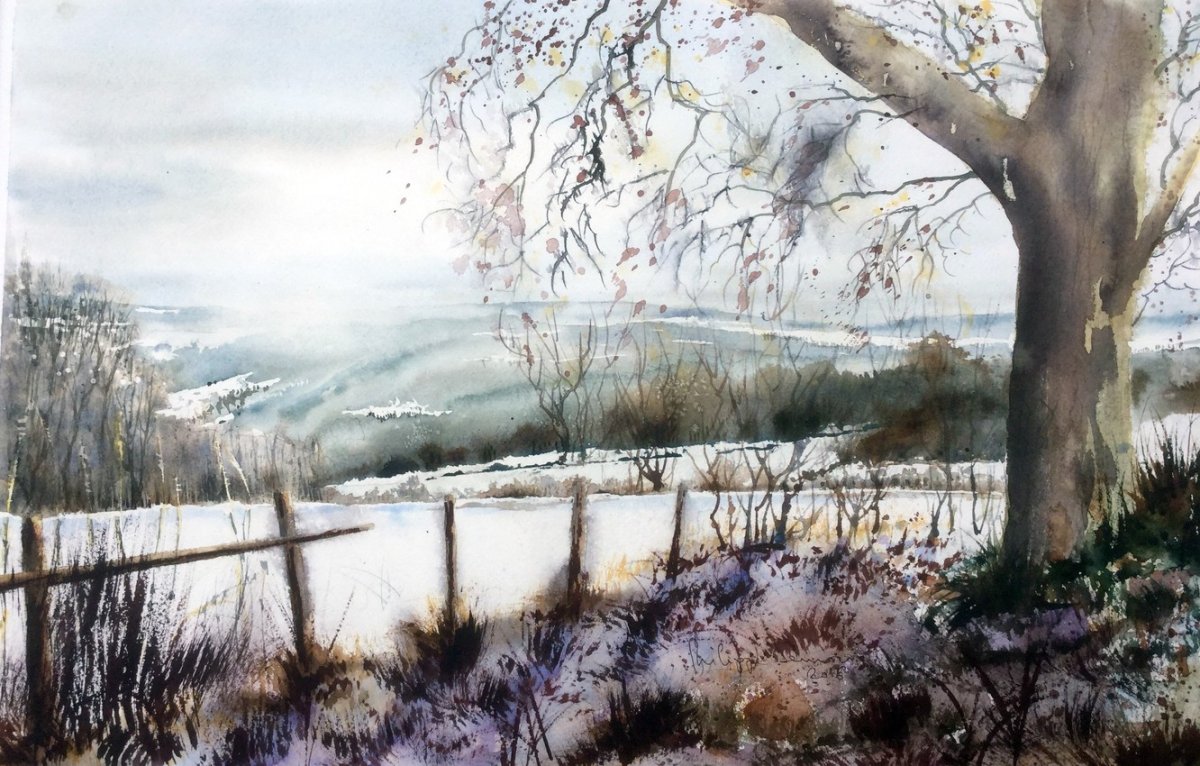 Нуреева Магнолия акварель видео