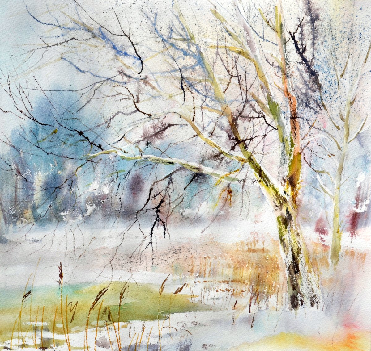 Рейн-Мари Пинчон