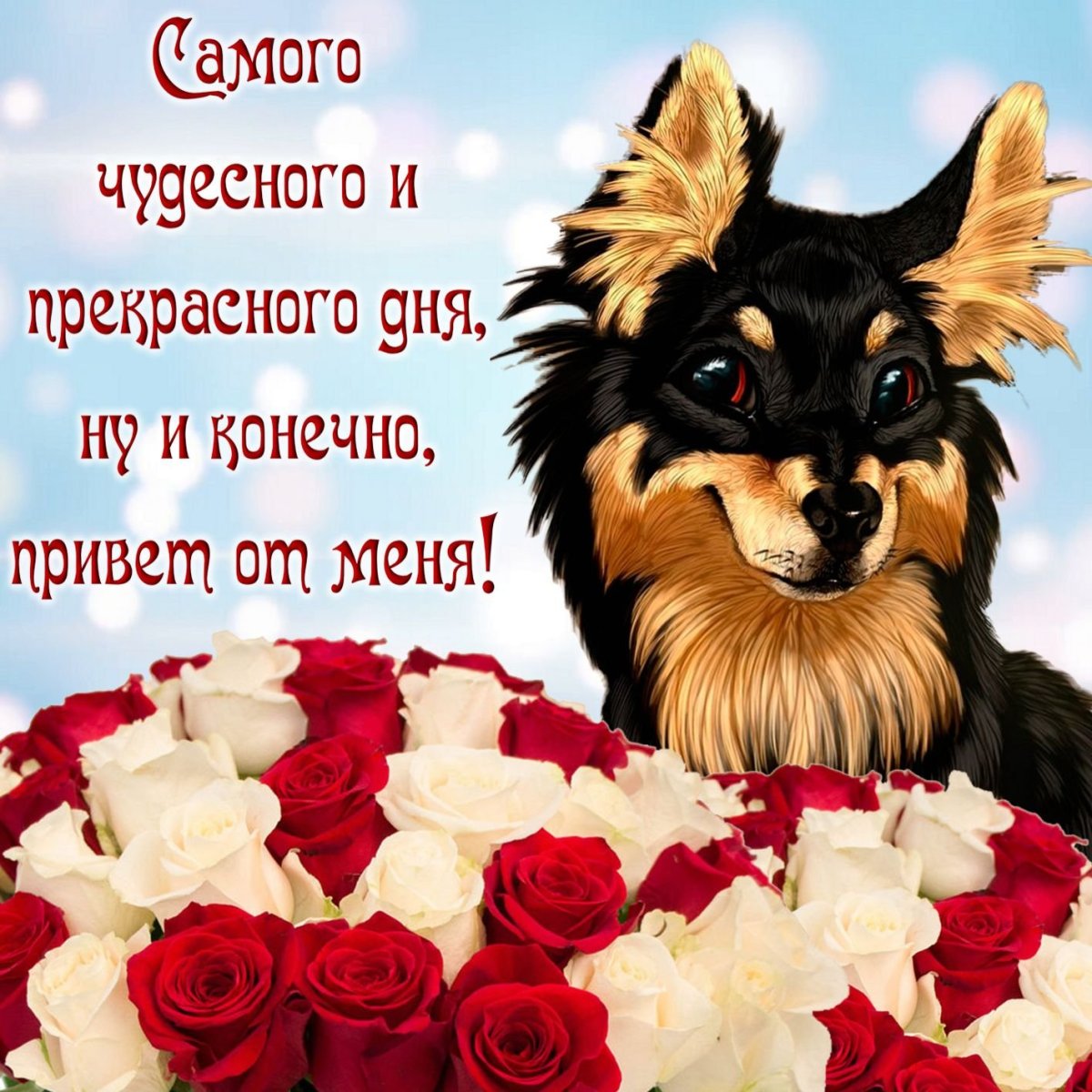 Красивые открытки