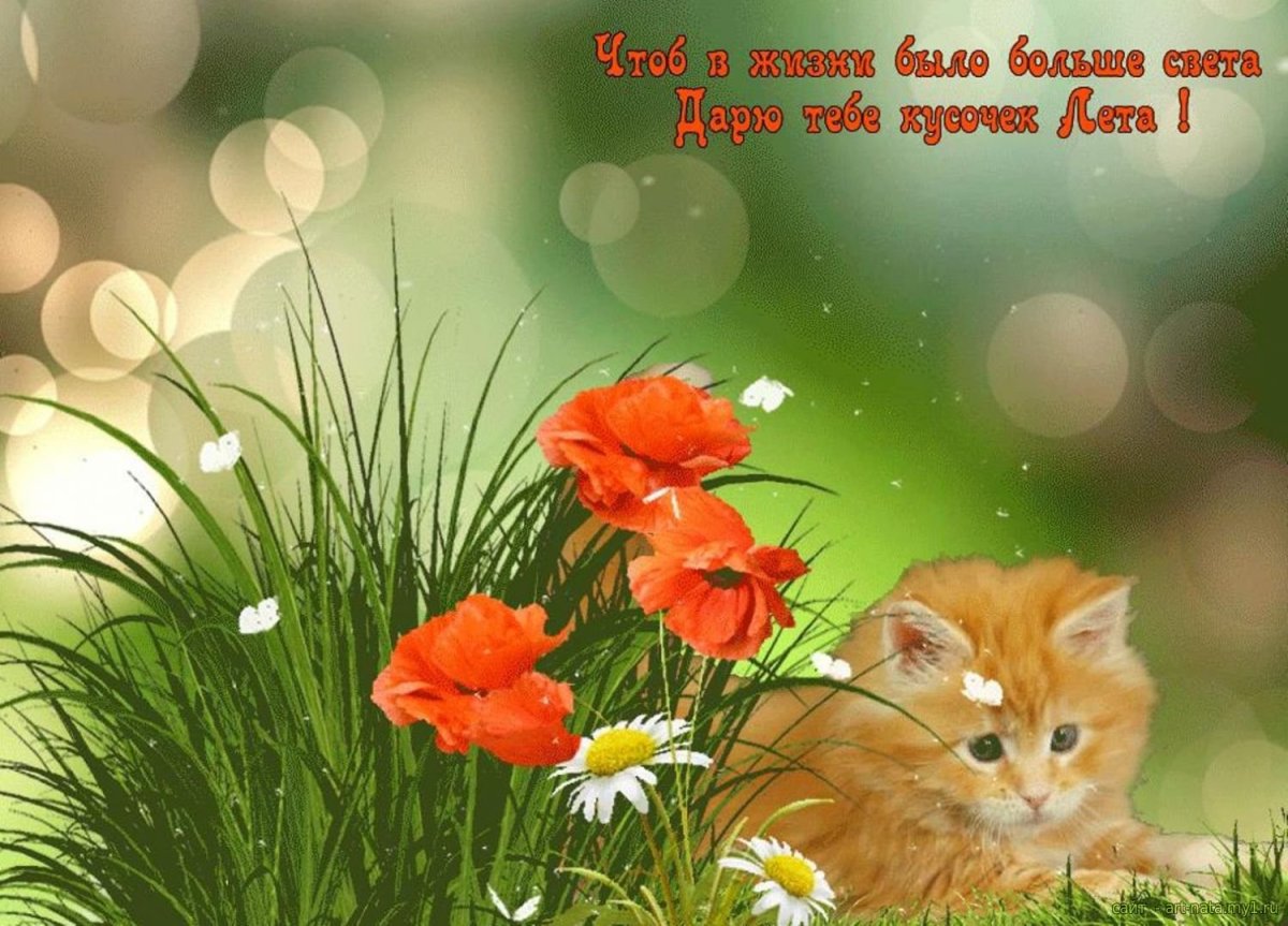 Добрый вечер картинки