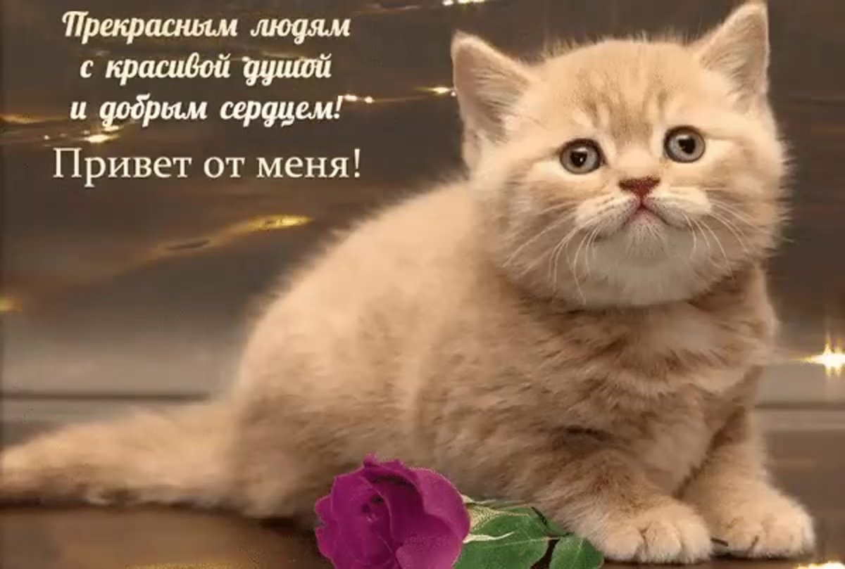 Открытка другу просто так