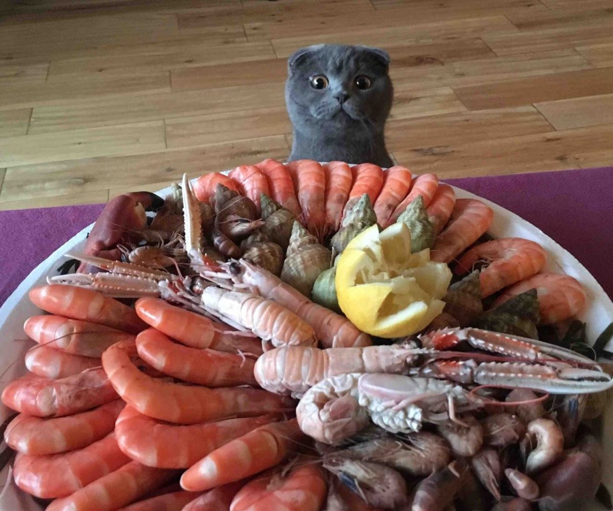 Сладости в виде члена