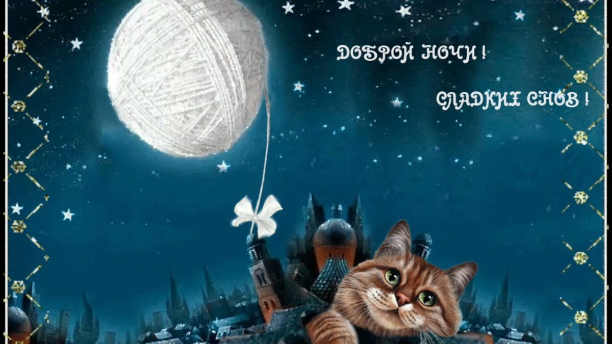 Спокойной ночи сладких снов