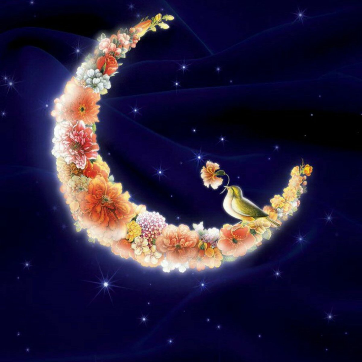 Воздушные сны