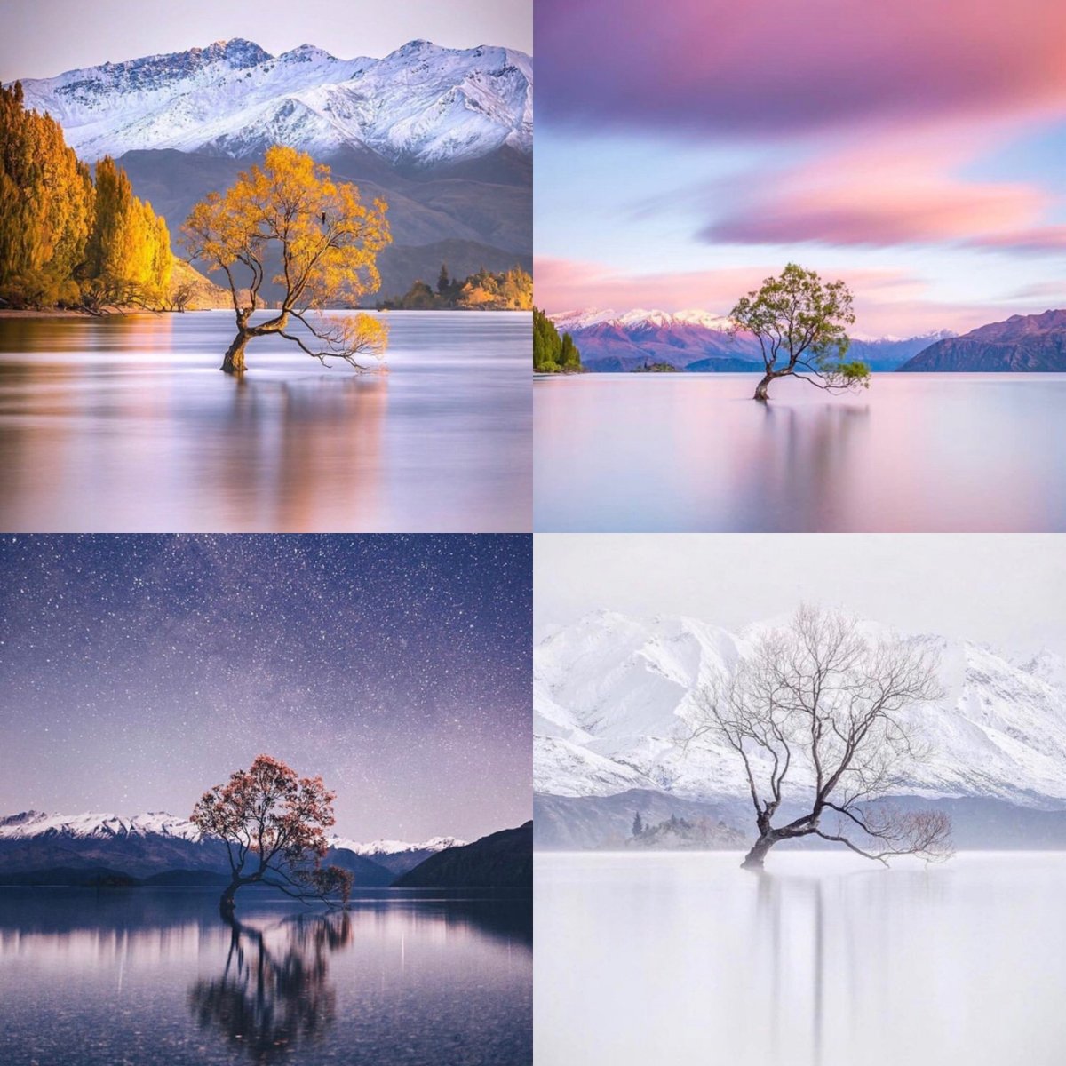 Движение земли вокруг солнца смена времен года схема