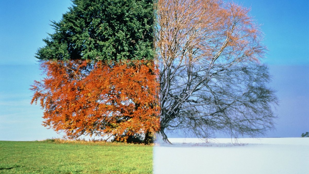 Иллюстрации с изображением времен года