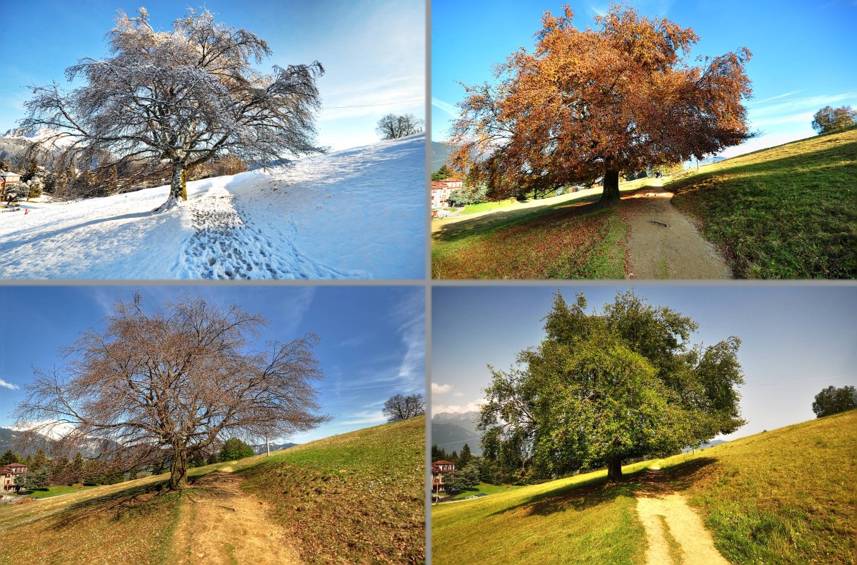 Равноденствие и солнцестояние