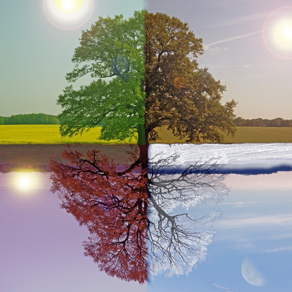 Смена времен года