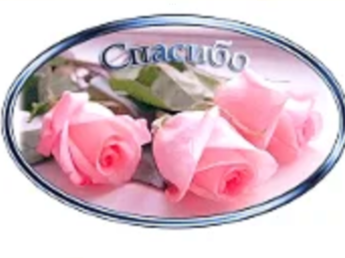 Инди КИД надписи