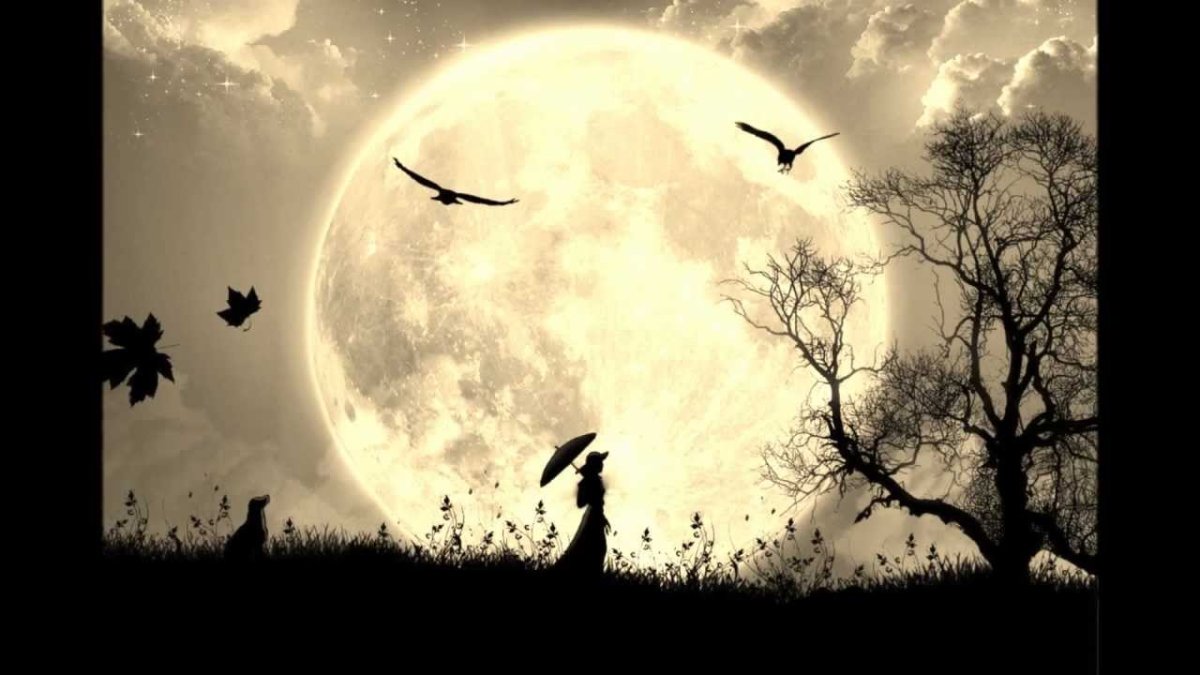 Иллюстрация к лунной сонате Бетховена