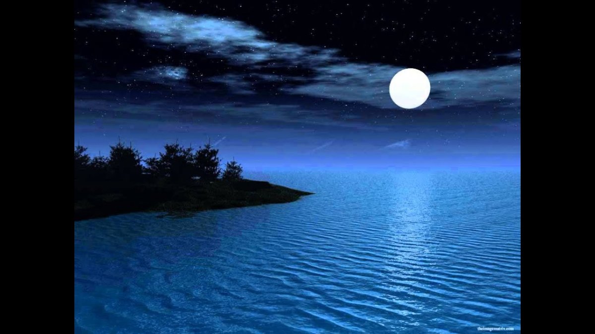 Лунная ночь