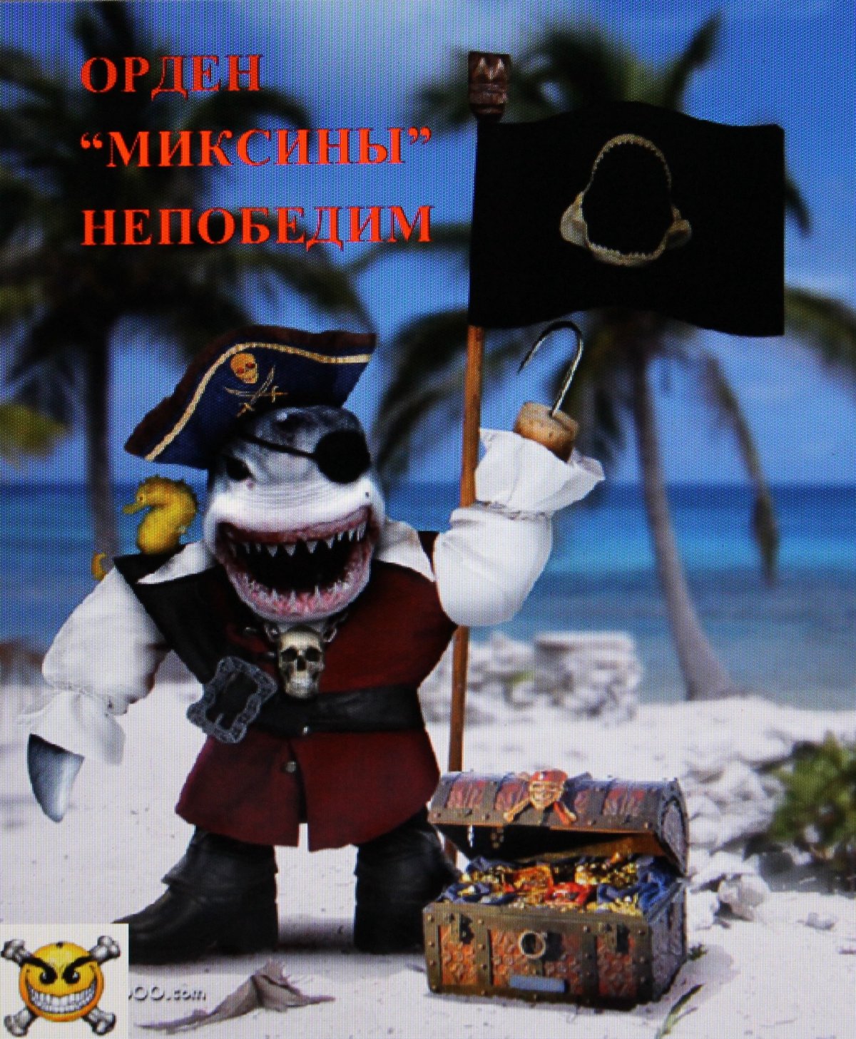 Прикольный пират