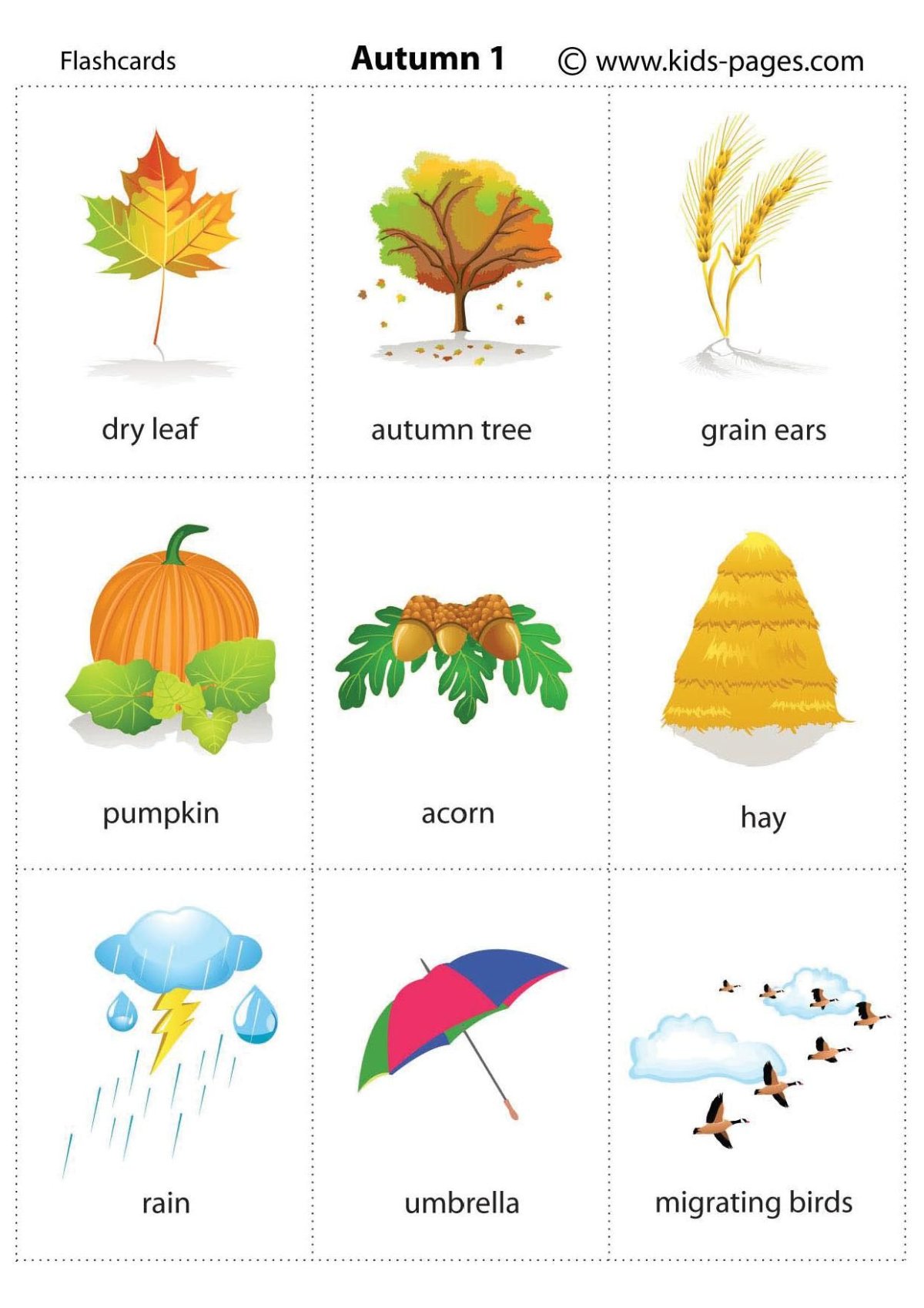 Слова на тему осень на английском