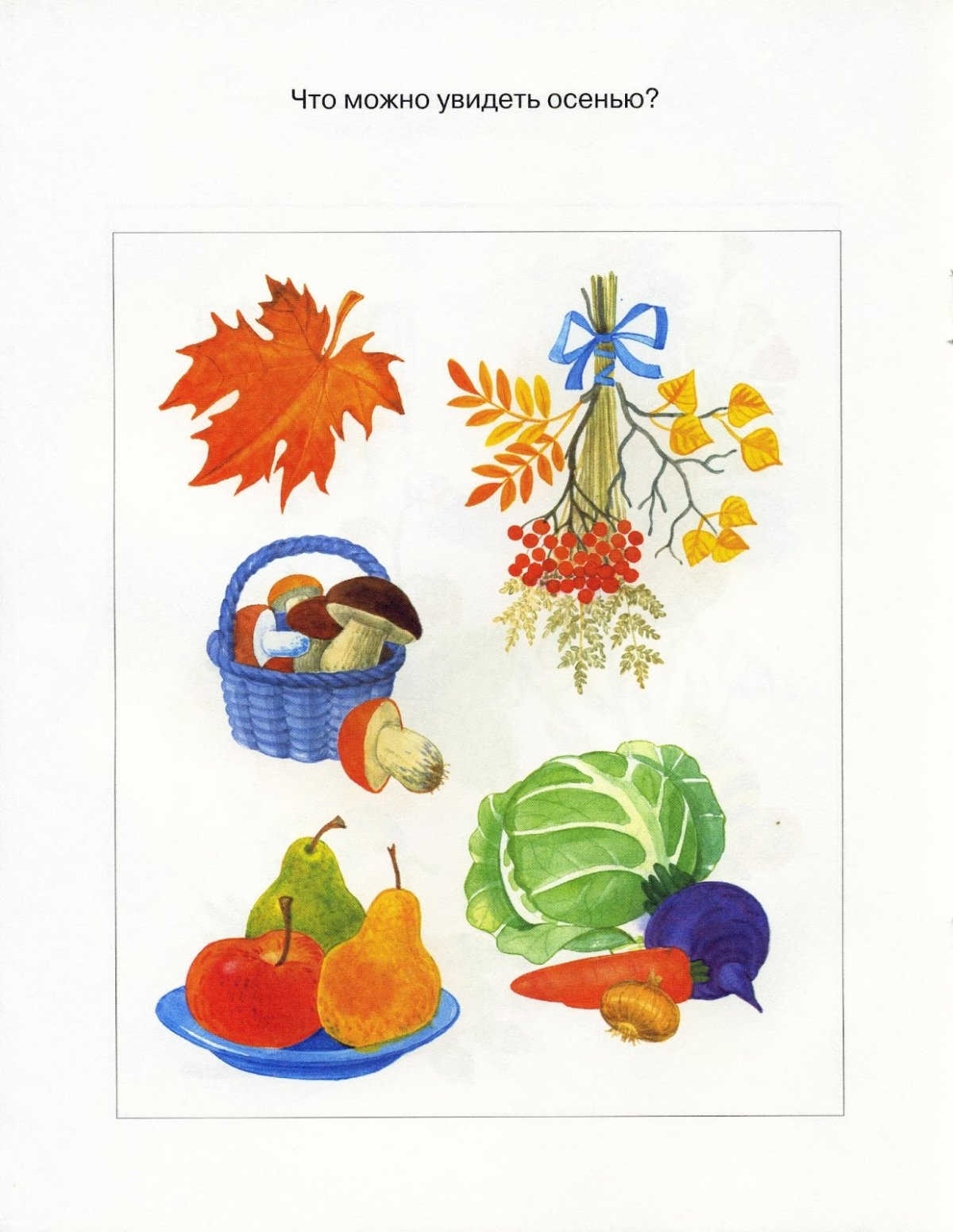 Осенние развивашки