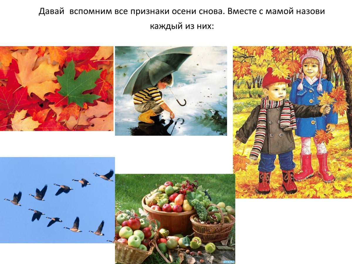 Признаки осени