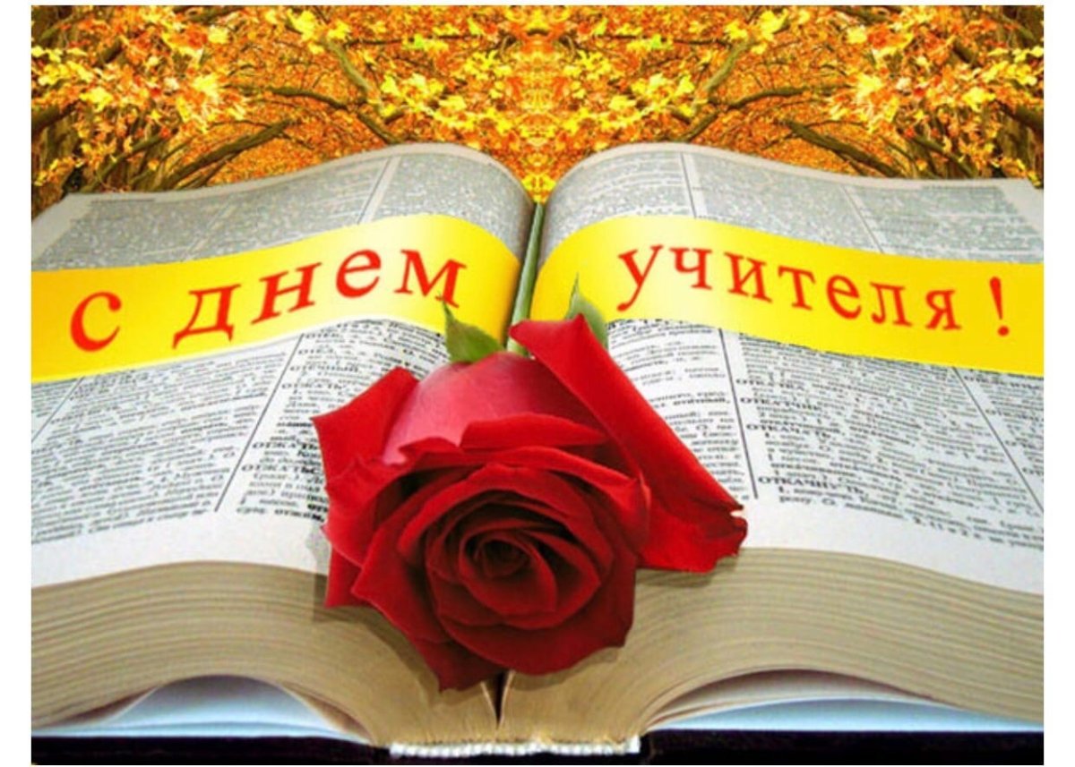 Красивые цветы для учителя