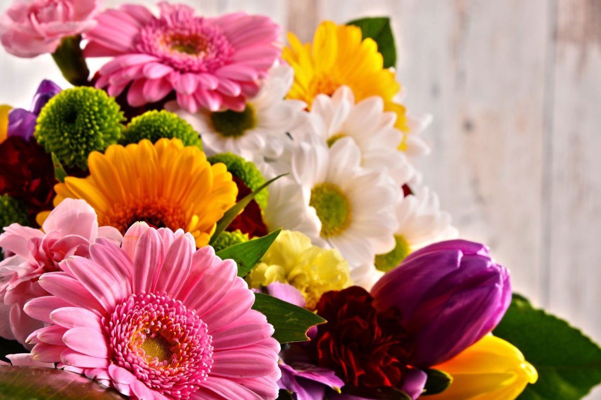 Школьная доска с цветами