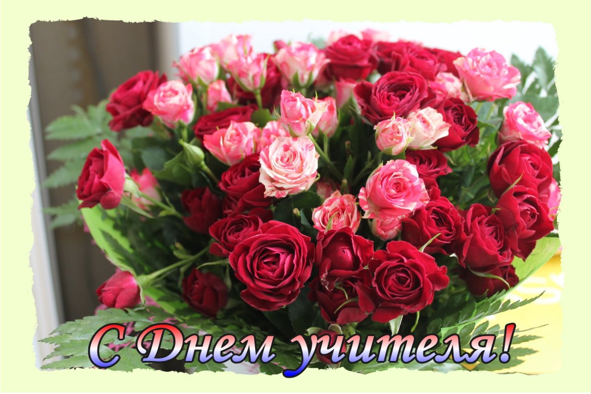 С днем учителя