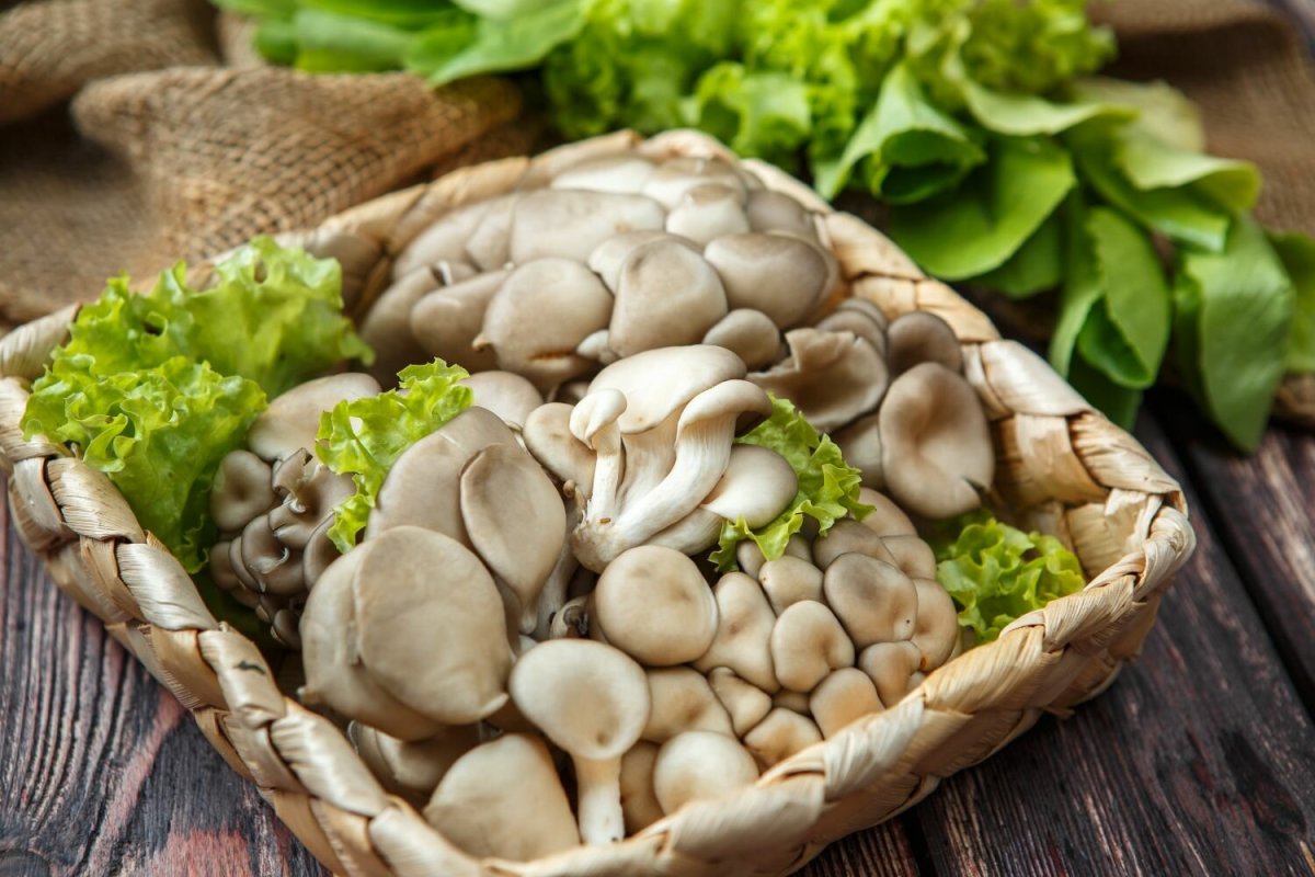 Грибы вешенки, 300 г