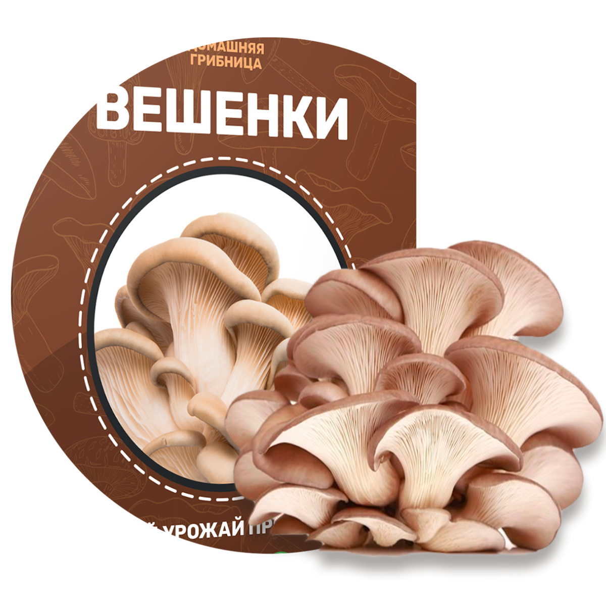 Грибы вешенки этикетка