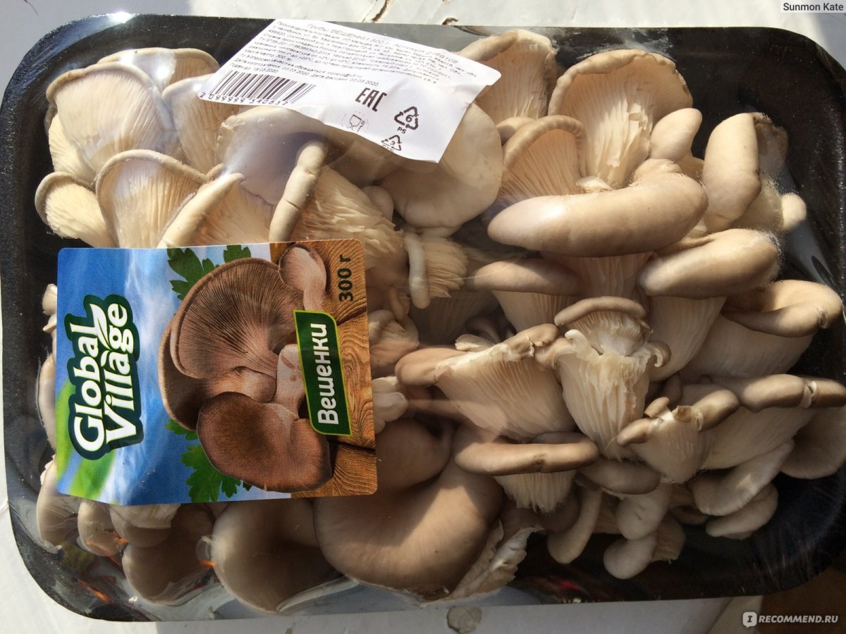 Вешенки Глобал Вилладж