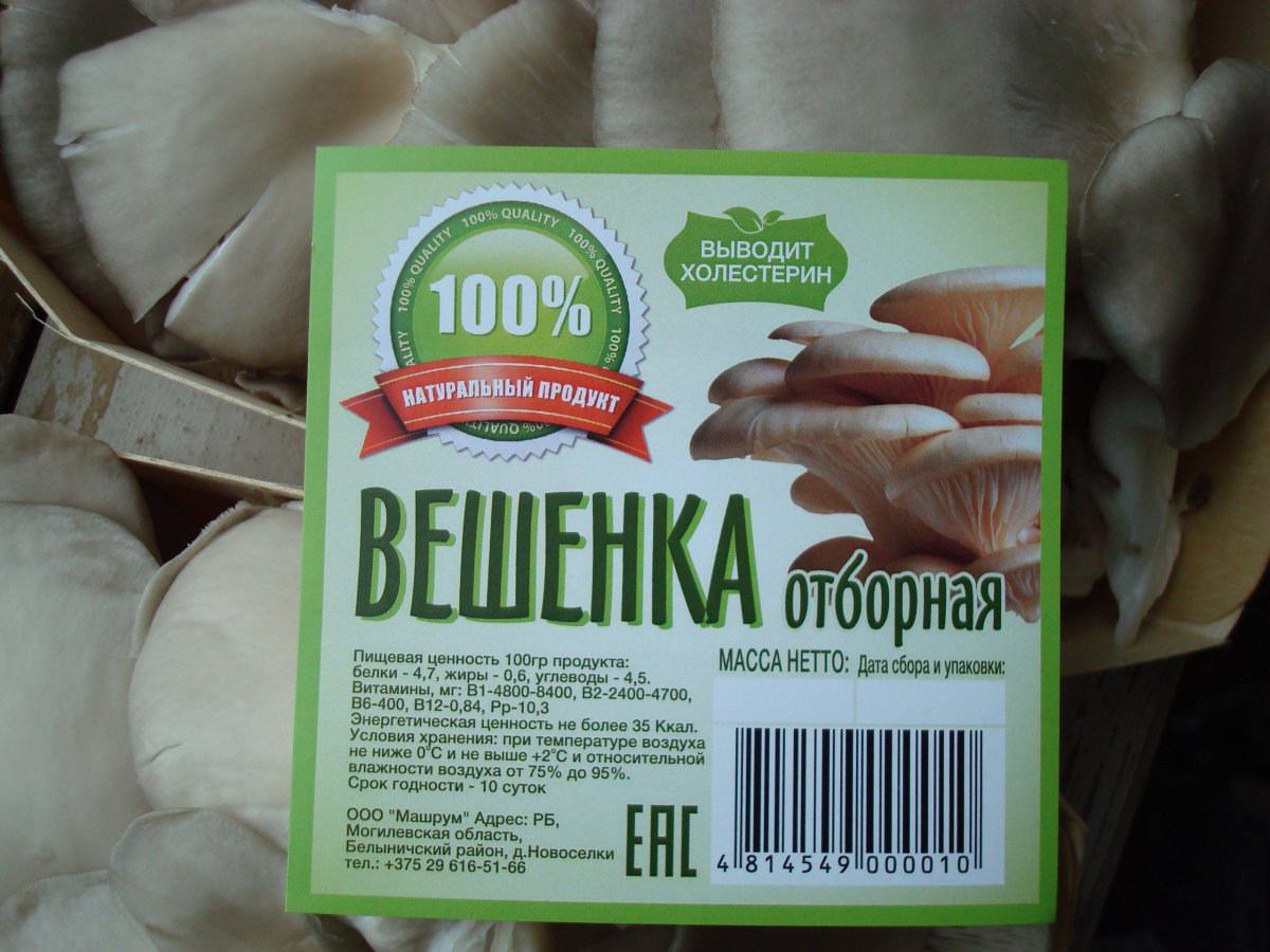 Этикетка грибов вешенка