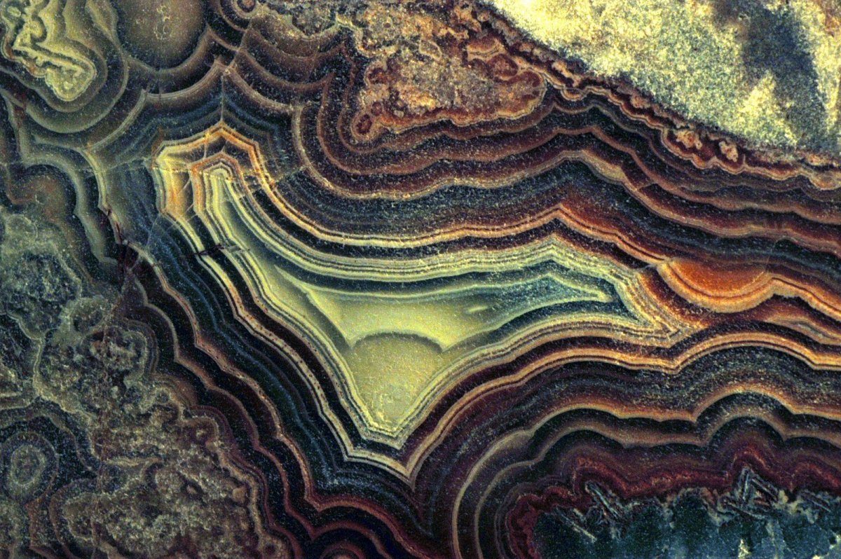 Необычные текстуры в природе