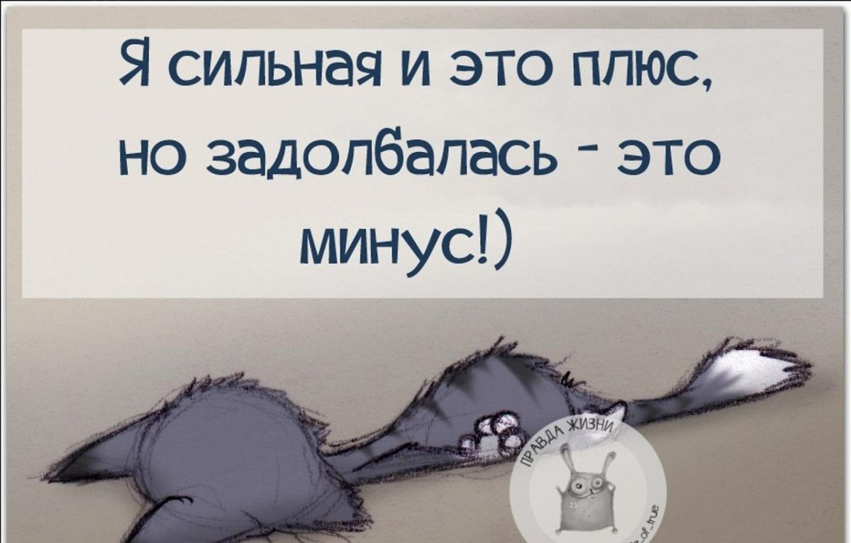 Прикольные фразы про сон