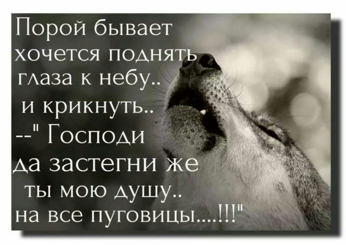 Усталость картинки со смыслом