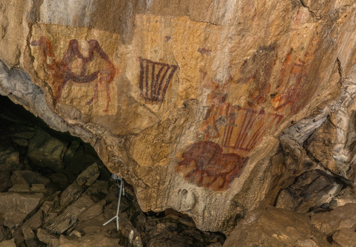 Маугли пещера с сокровищами