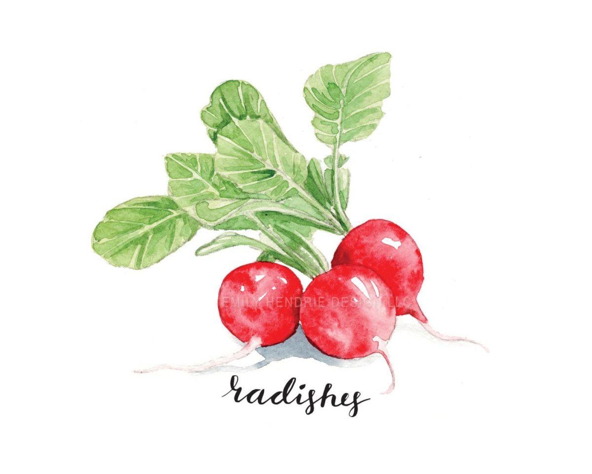 Веселые овощи редиска