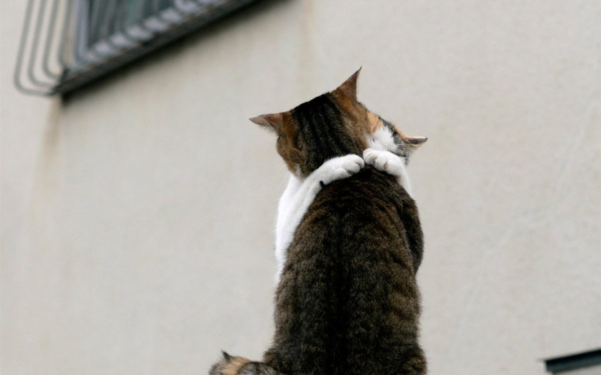 Совсем скоро