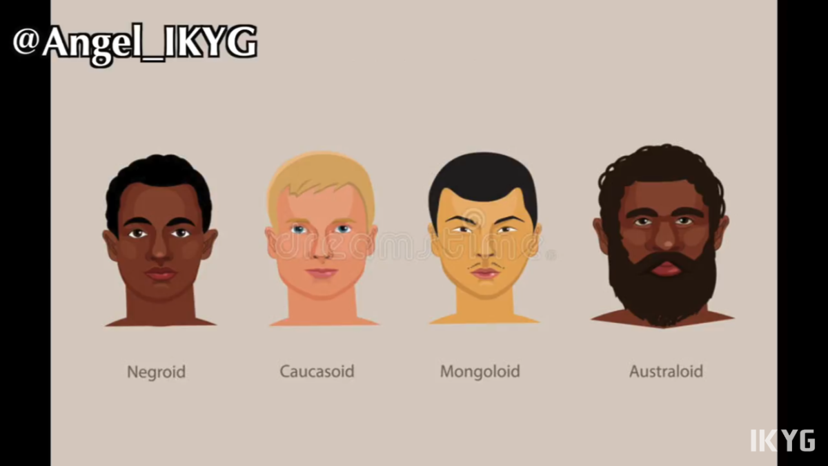 Расы людей рисунки