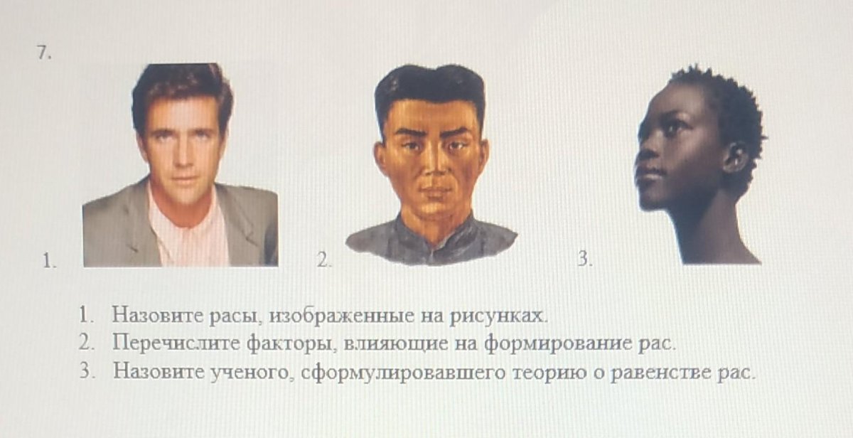 Равенство рас