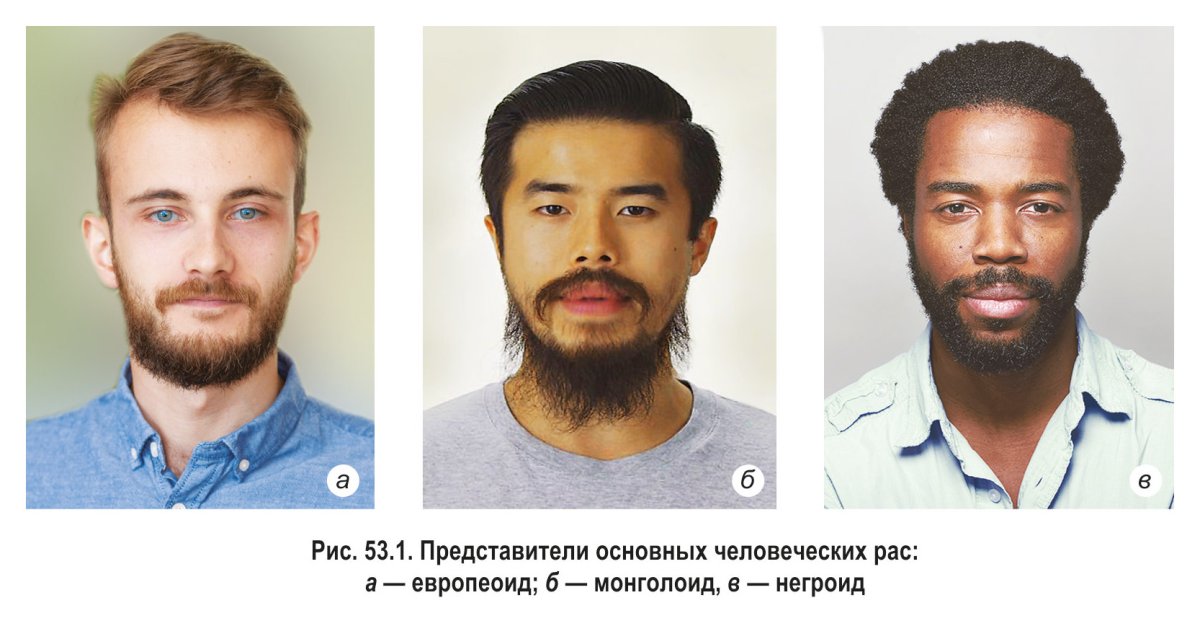Расы человека по биологи концепт