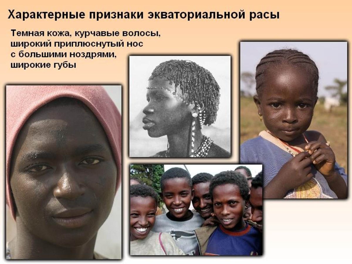 Расовая теория Гюнтера таблица