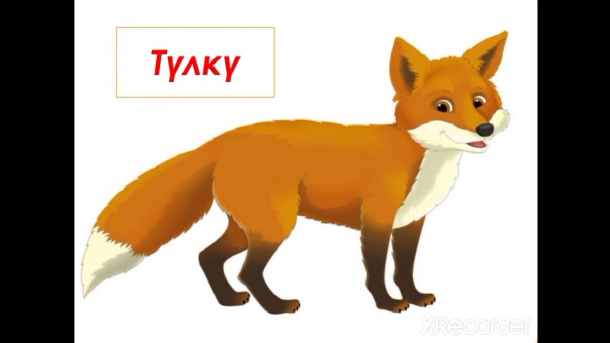 Лиса мультяшная на белом фоне